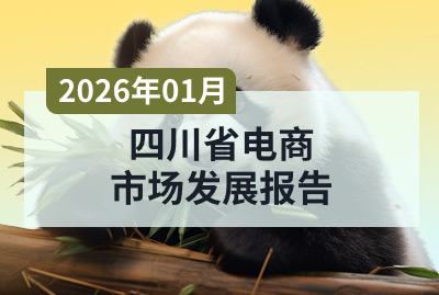 四川省电商市场发展报告