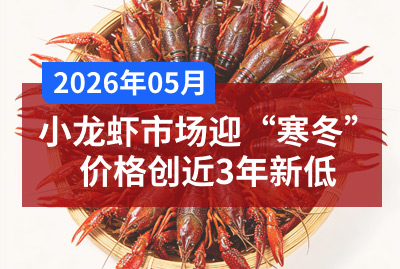 中国小龙虾生产规模、电商市场变化及行情解析